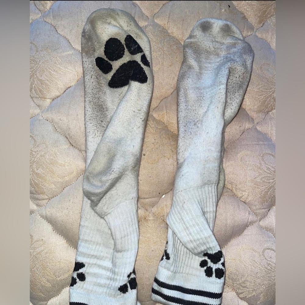Sk8erboy pup socks
